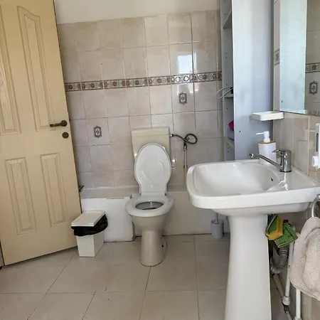 Sunny 1-bedroom Near Obor With Garden Patio And Workspace Bucharest